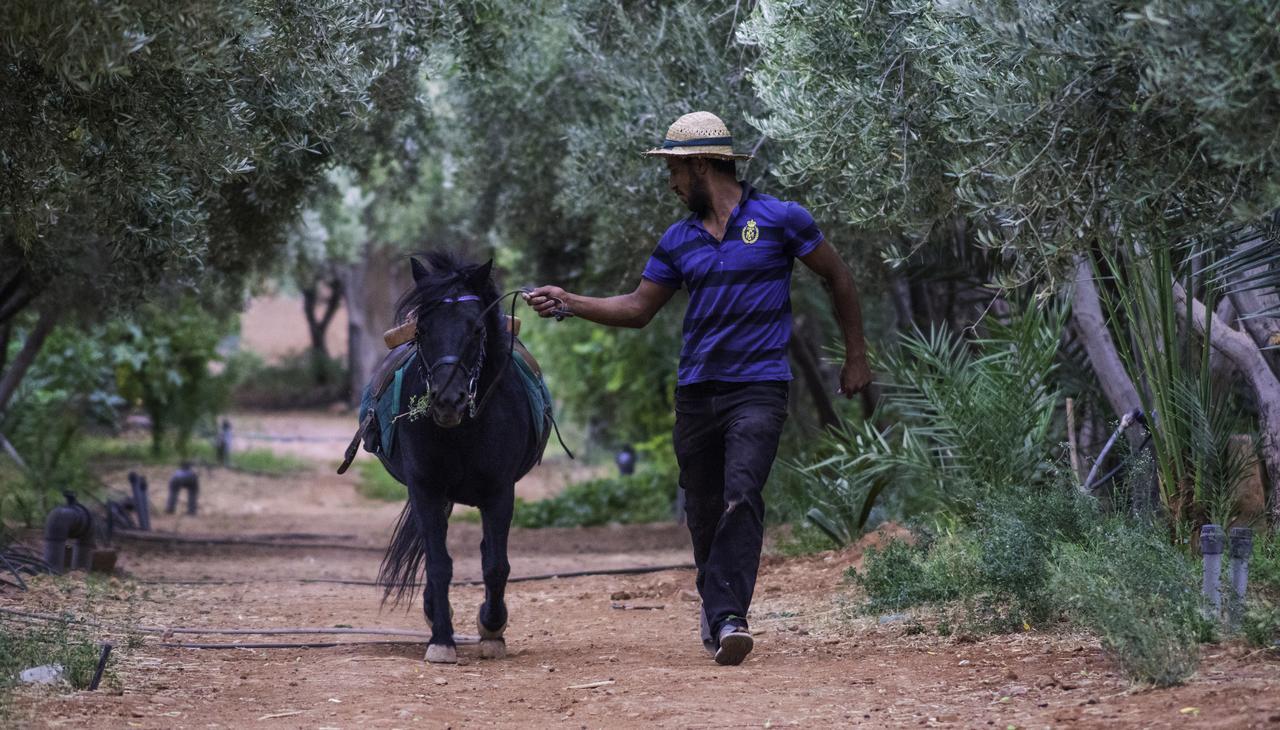 Dar Alfourssane Ferme D'Hote Ouarzazate Exterior foto
