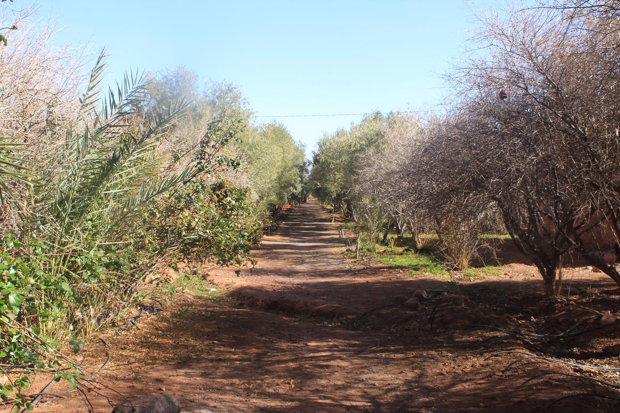 Dar Alfourssane Ferme D'Hote Ouarzazate Exterior foto
